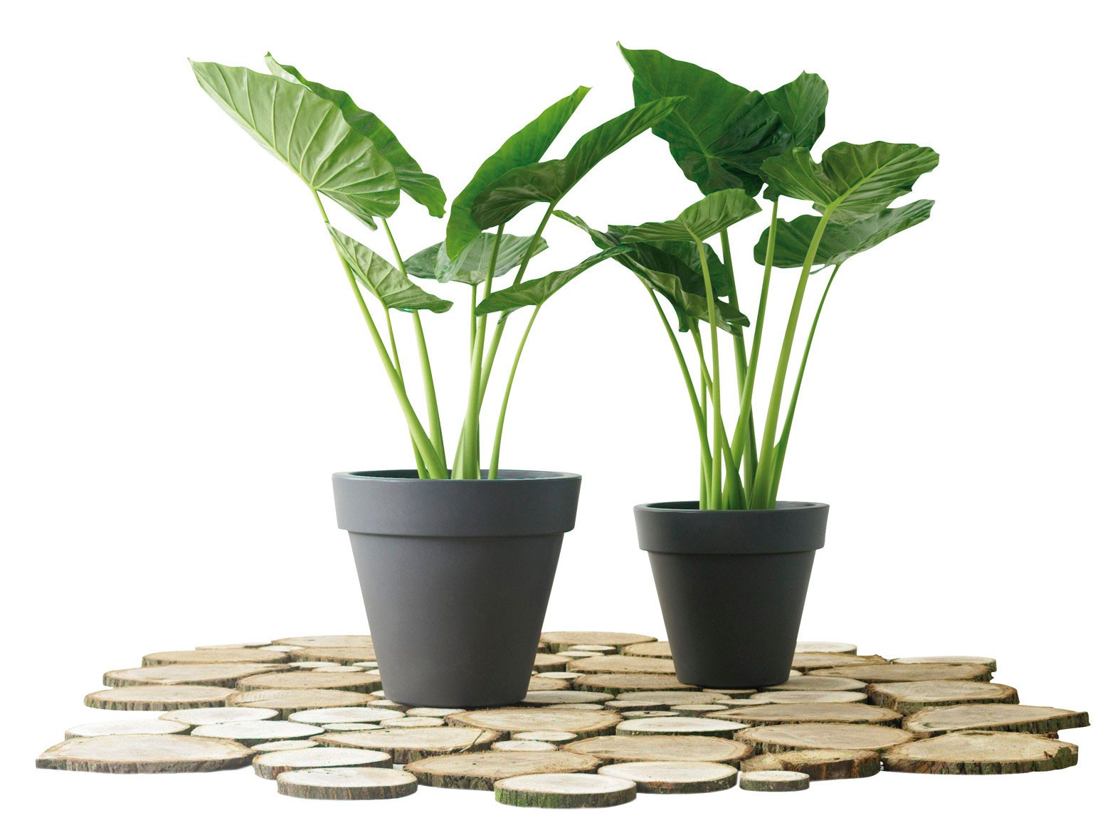 Pflanzgefäß / Pflanztopf elho Pure Round Ø 60cm anthrazit