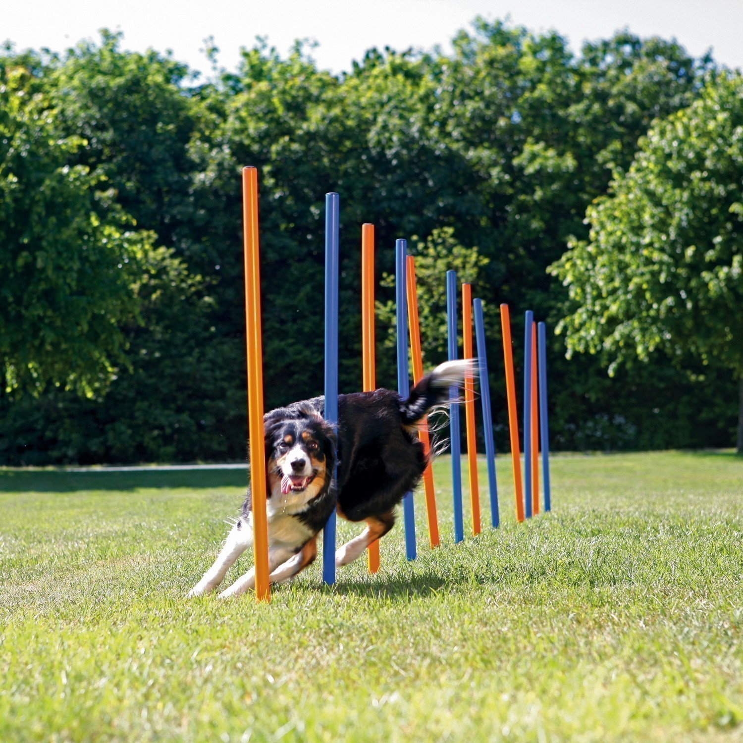 Agility Gerät Slalom-Stangen TRIXIE 115 x Ø 3 cm 12 Stück