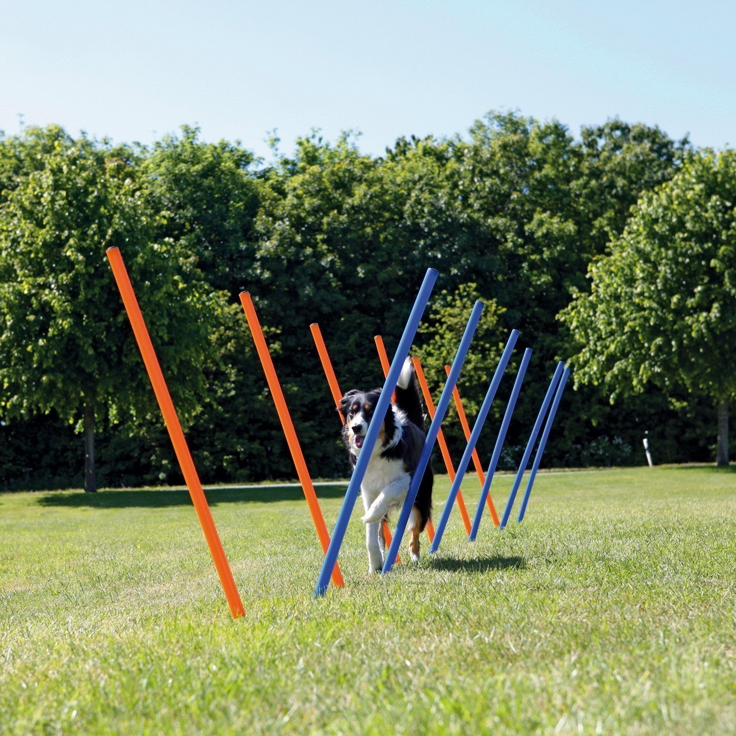 Agility Gerät Slalom-Stangen TRIXIE 115 x Ø 3 cm 12 Stück