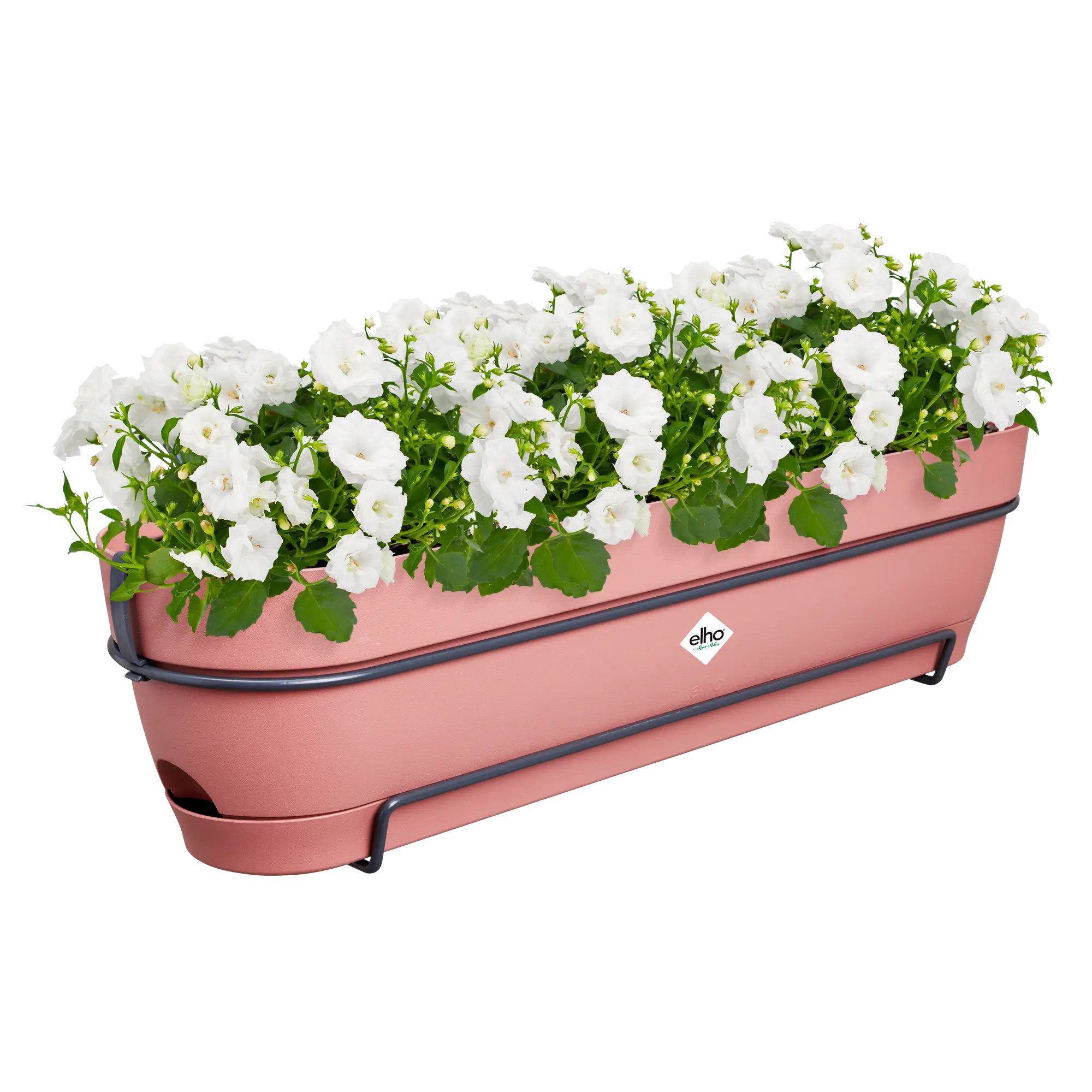 elho® Balkonkasten Vibia Campana ALLin1 70cm puderrosa
