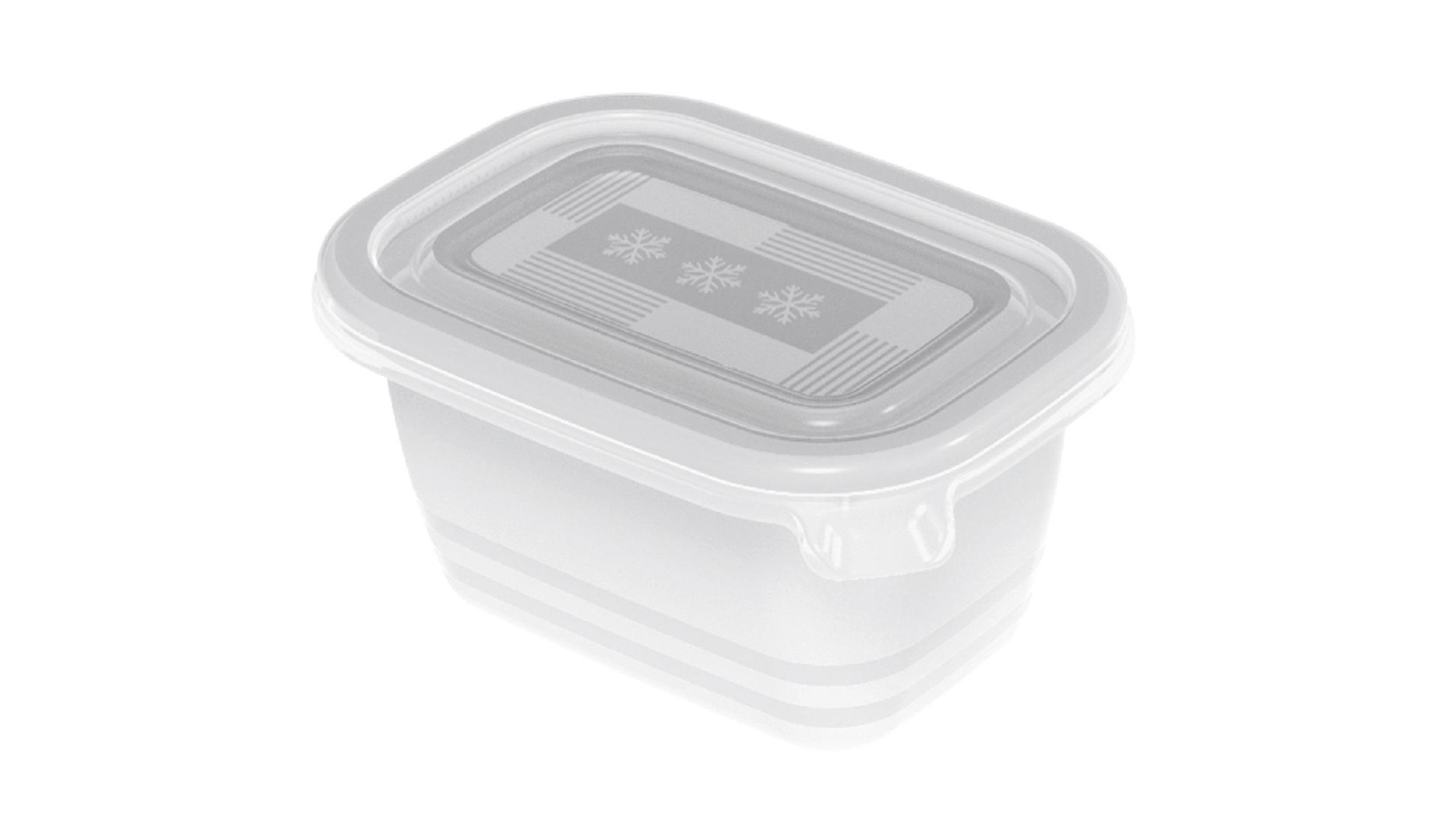 Rotho Gefrierdose Freeze 0,25 L 6er Pack