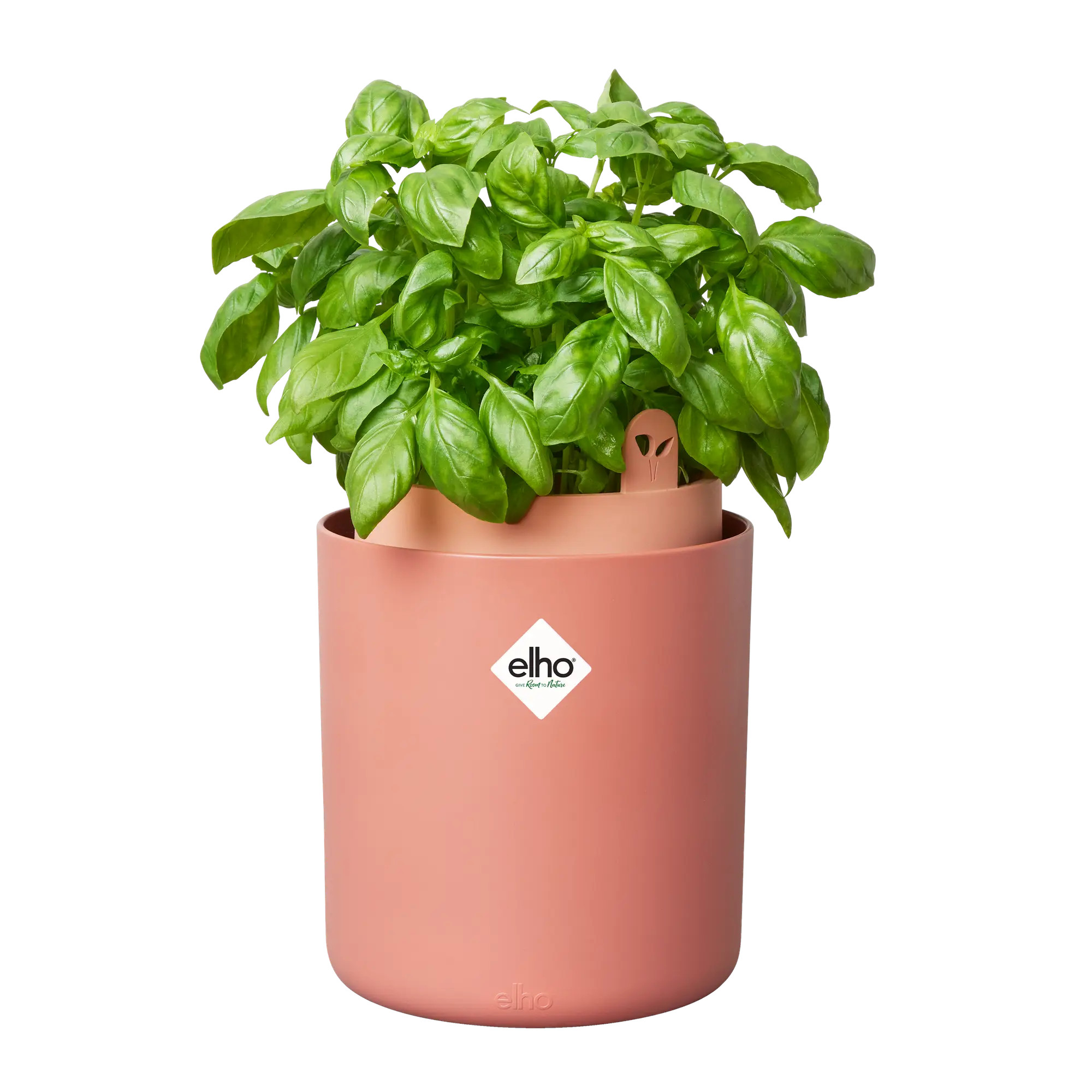 elho® Kräutertopf Bouncy Basil toffee terra