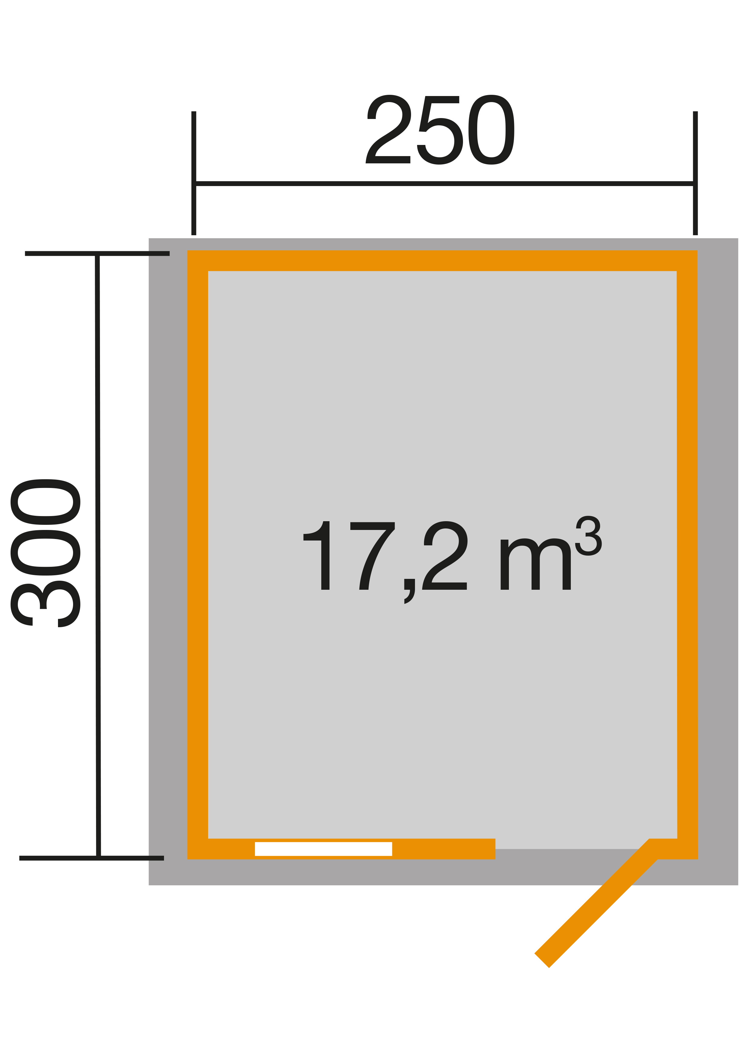 weka Gartenhaus Premium28 FT, 250 x 300