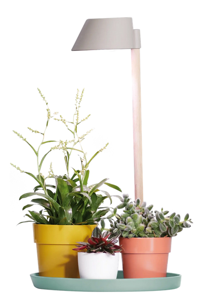 elho Pflanzenlampe Pflanzenleuchte Plant Light Care Gletschergrau