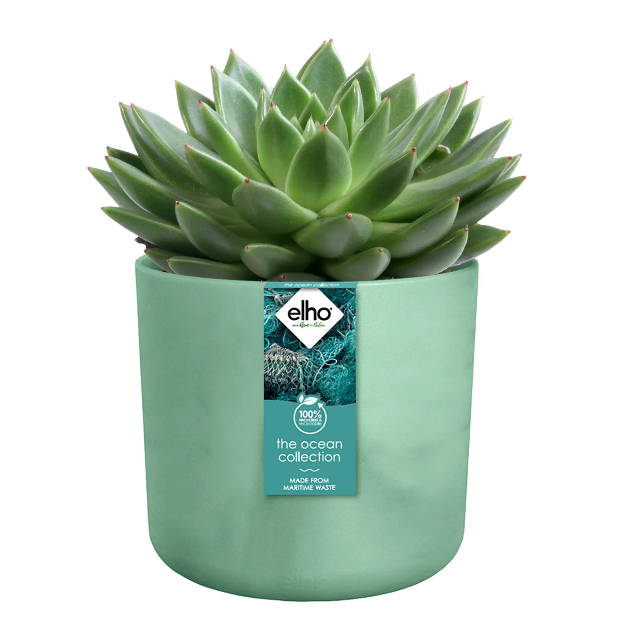 elho® Blumentopf The Ocean Collection Rund 14cm pazifikgrün