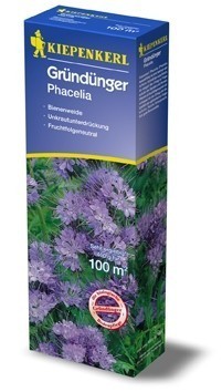 Gründünger-Saaten Phacelia, 400 g Phacelia tanacetifolia