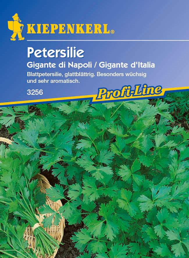 Saatgut Petersilie-Saatgut Gigante die Napoli / Gigante d'Italia