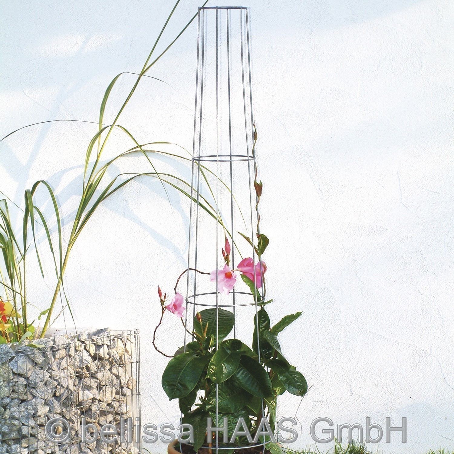 Ranksäule / Rankgitter verzinkt groß bellissa Höhe 170cm