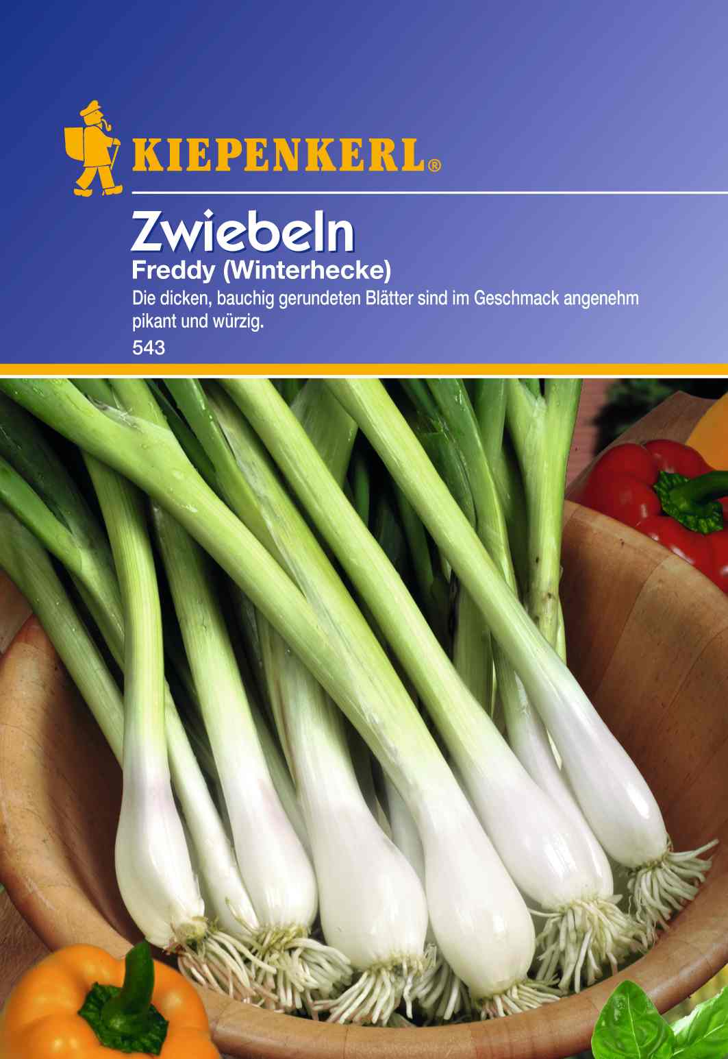 Saatgut Zwiebeln Freddy (Winterhecke)