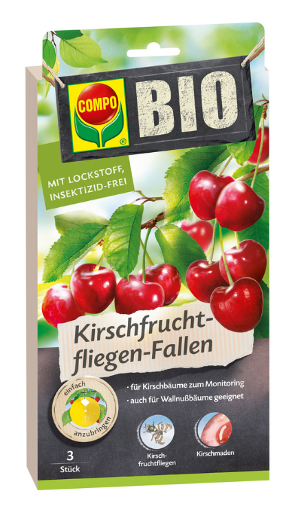 Compo BIO Kirschfruchtfliegen-Fallen 3 Stück