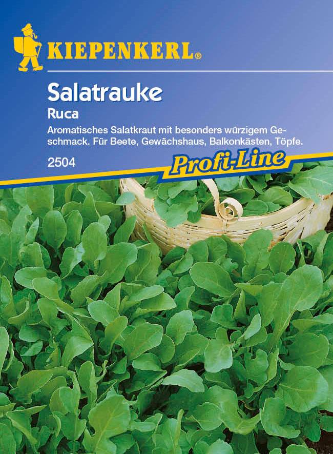 Saatgut Salat Ruca