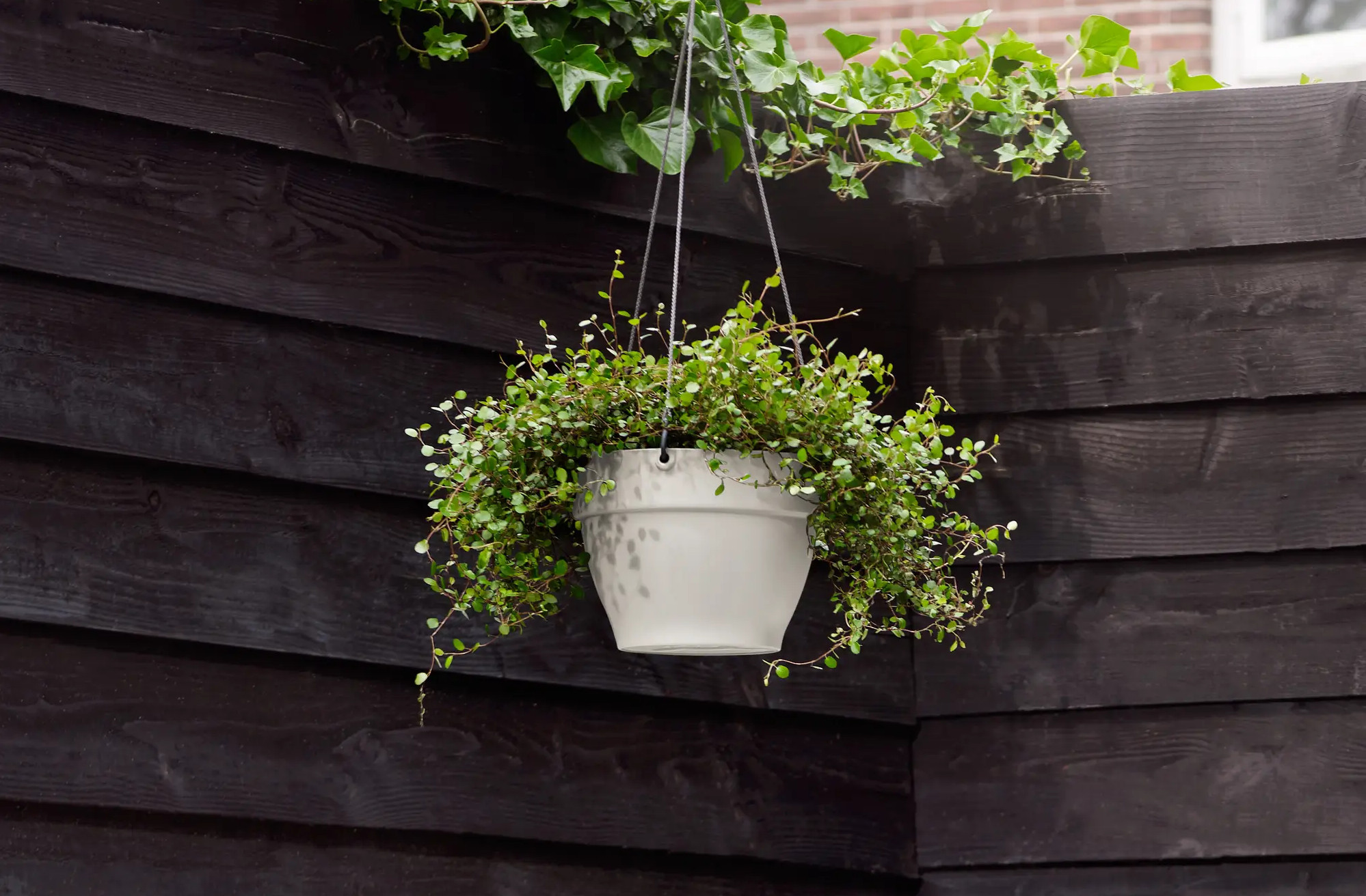 elho® Hängeampel Vibia Campana 26cm seidenweiß