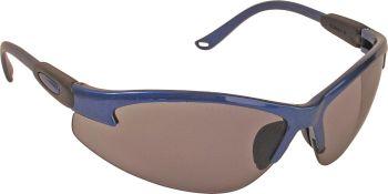Schutzbrille Aquarius, PC, getönt/schw.