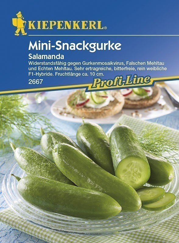 Kiepenkerl Saatgut Mini-Snackgurke Salamanda