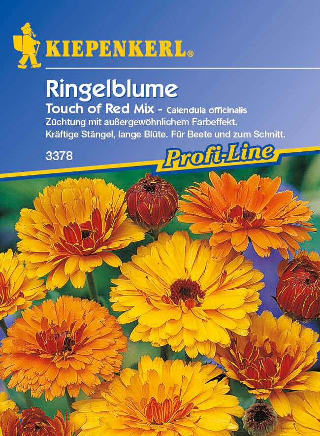 Saatgut Ringelblumen Touch of Red Mix