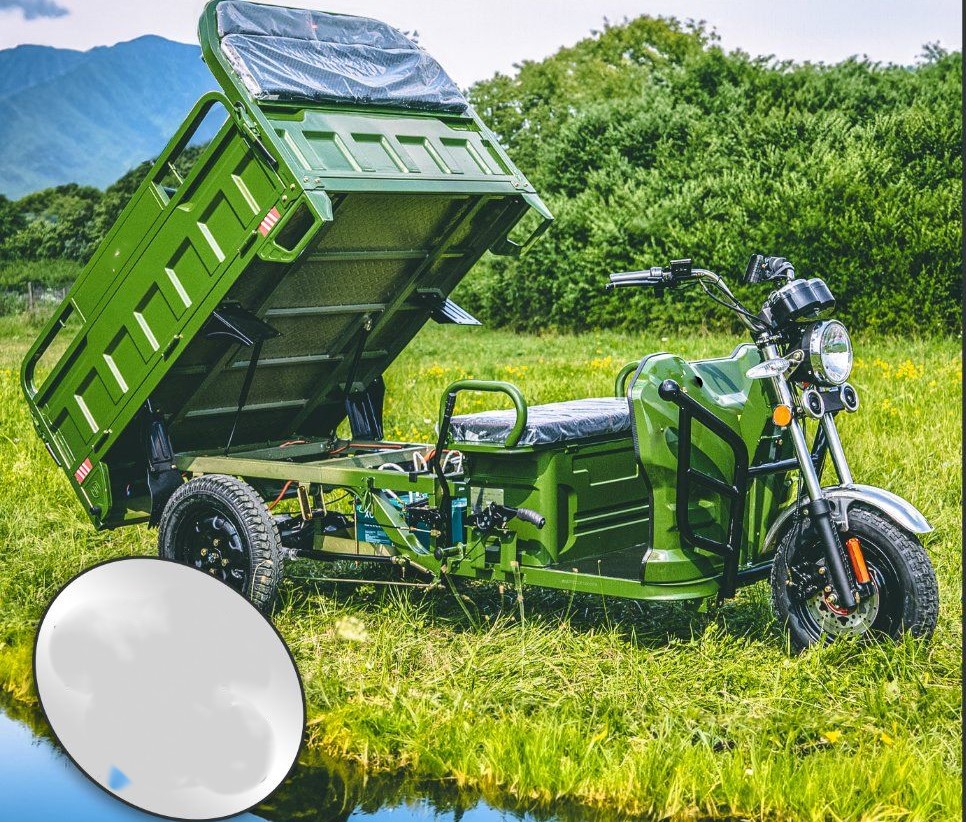 Jinpeng Cargo - Muli 400 Elektro-Lastentransporter grün