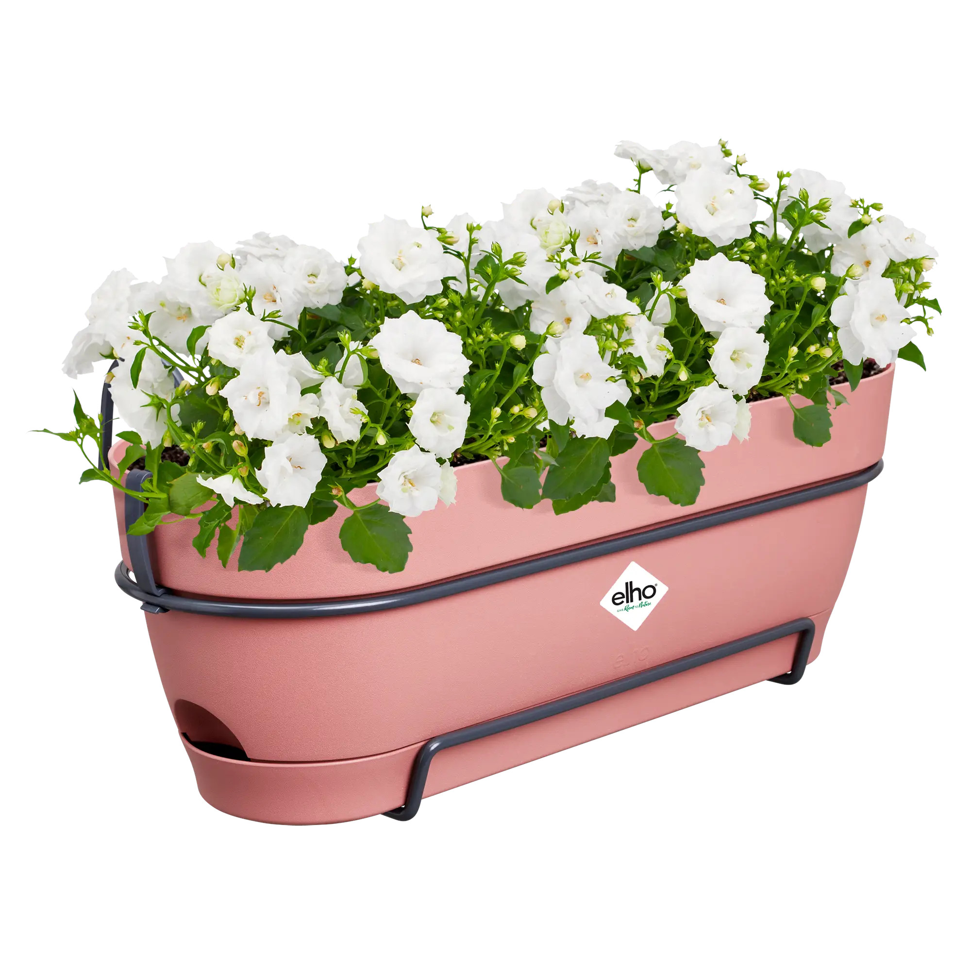 elho® Balkonkasten Vibia Campana ALLin1 50cm puderrosa