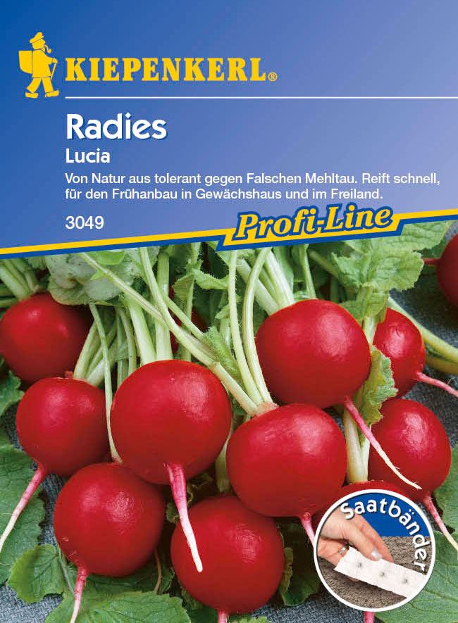 Saatgut Radieschen/ Radies Lucia, Saatband