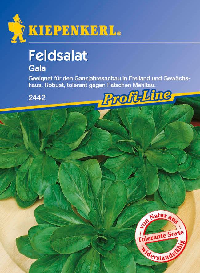 Saatgut Feldsalat Gala