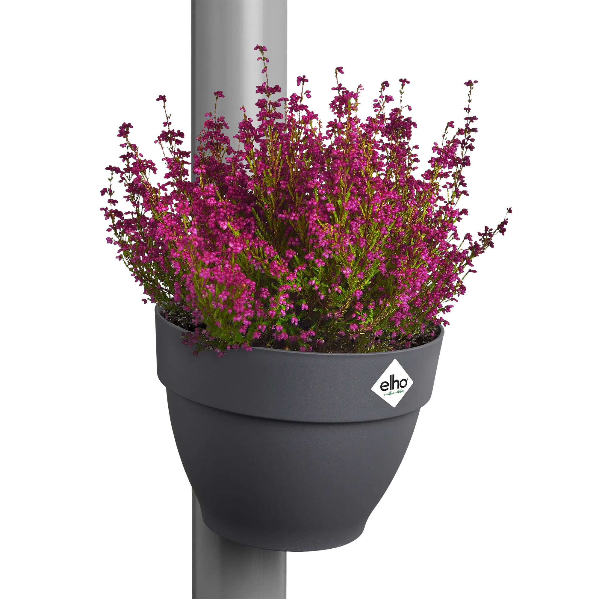 elho® Blumentopf Fallrohrpflanzgefäss Vibia Campana anthrazit