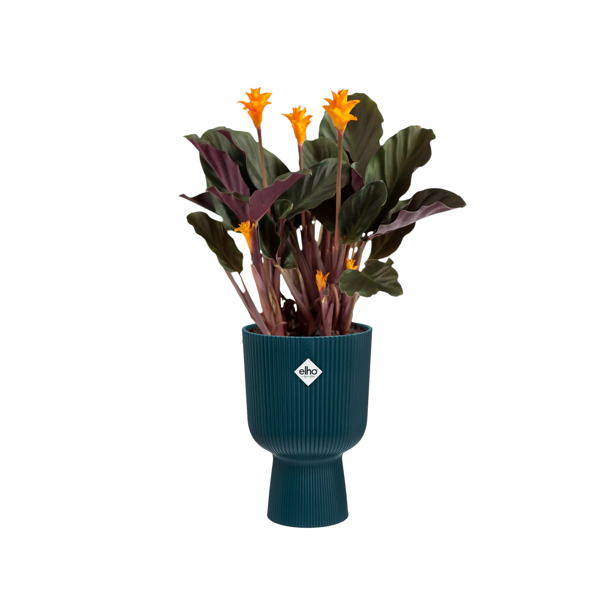 elho® Blumentopf Vibes Fold Coupe 14cm tiefes blau