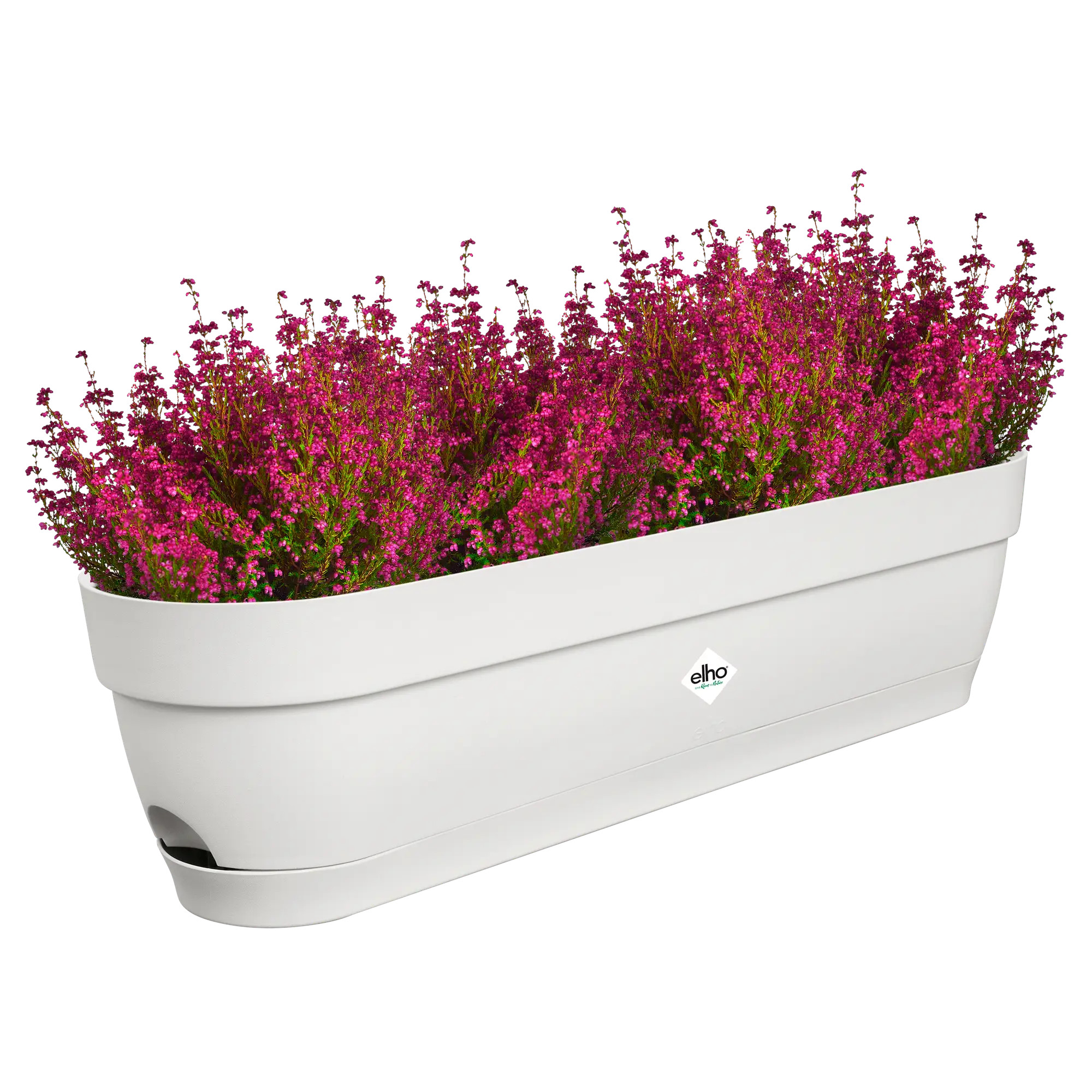 elho® Balkonkasten Vibia Campana 70cm seidenweiß