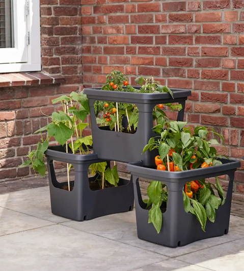 elho Gemüsetopf Kräutertopf Green Basics schwarz 50x36x35cm